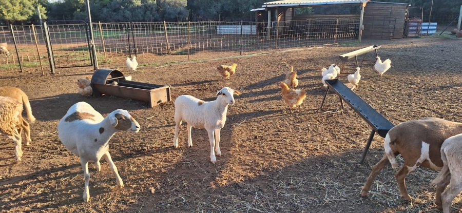 5 Bedroom Property for Sale in Koster North West